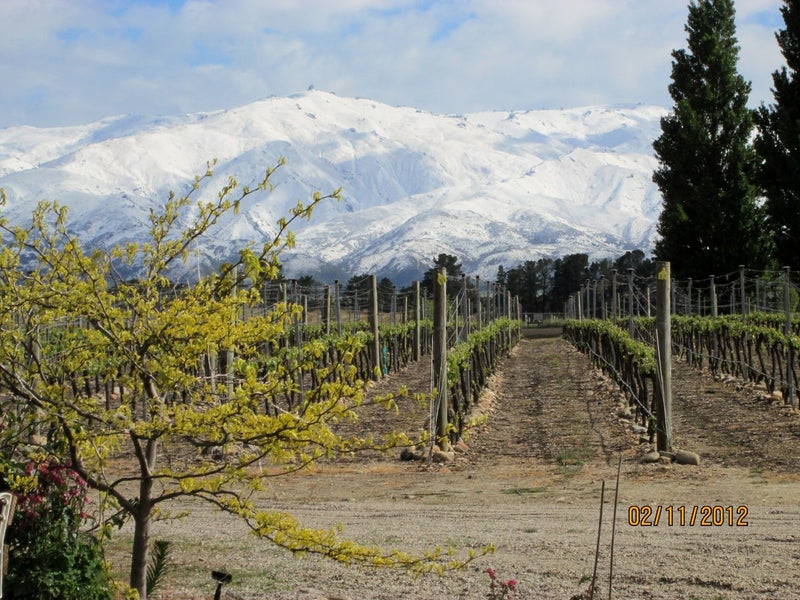 275 Hillview Road, Alexandra - Carousel 33