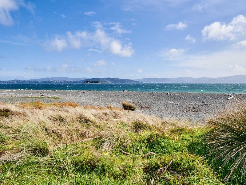 143 Marine Parade, Eastbourne, Lower Hutt - Carousel 21