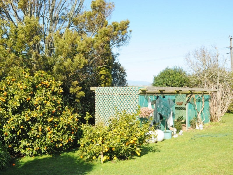 462 Koputaroa Road, Koputaroa - Carousel 20