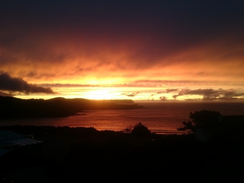 13A Walker Avenue, Paremata, Porirua - Carousel 22