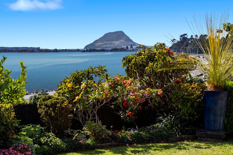 115 Fourth Avenue, Tauranga, Tauranga - Carousel 1