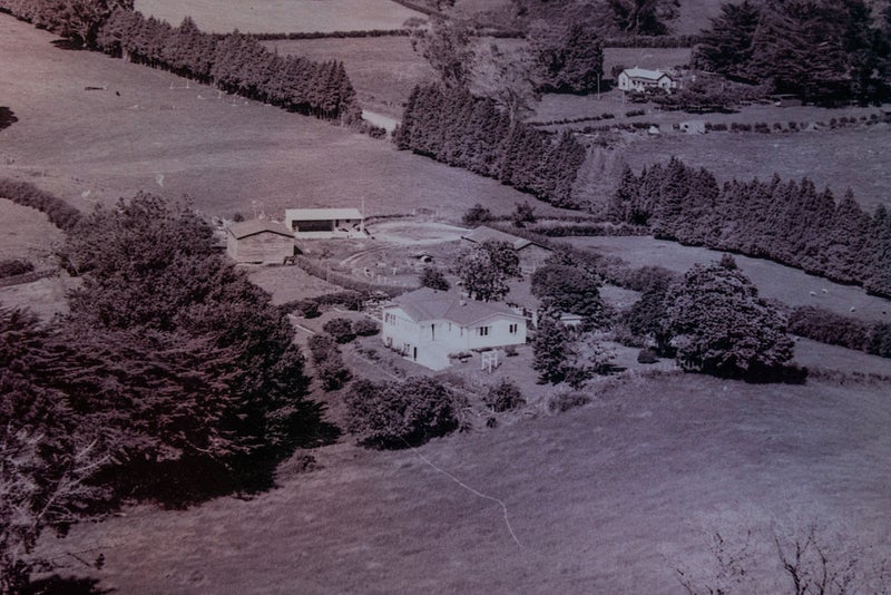 8 SYCAMORE RISE, Tauriko, Tauranga - Carousel 20