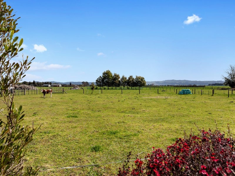 702 Western Drain Road, Te Teko - Carousel 26