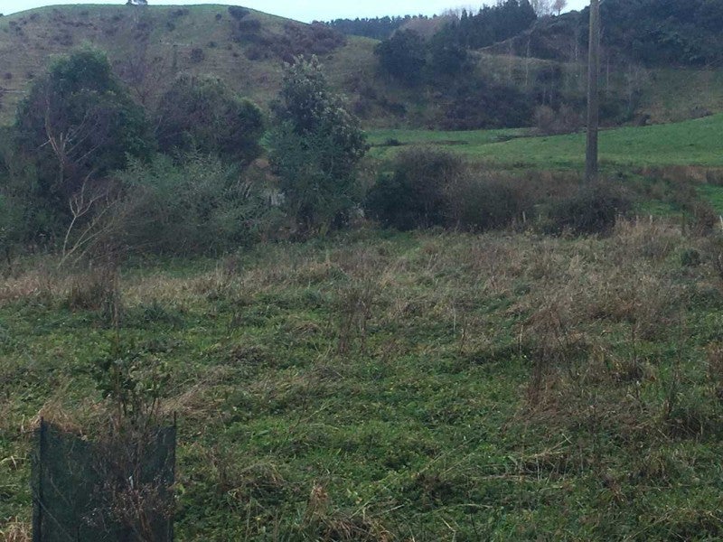 0 Potts Road, Koputaroa, Shannon - Carousel 2