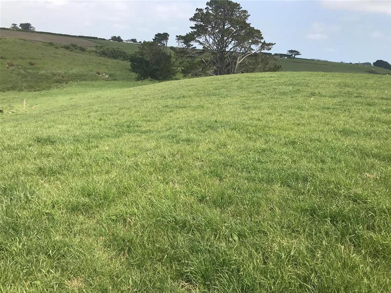 0 Normanby Road, Okaiawa, Hawera - Carousel 1