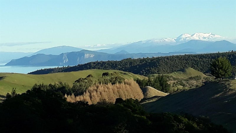 1884 Whangamata Road, Taupo - Carousel 1