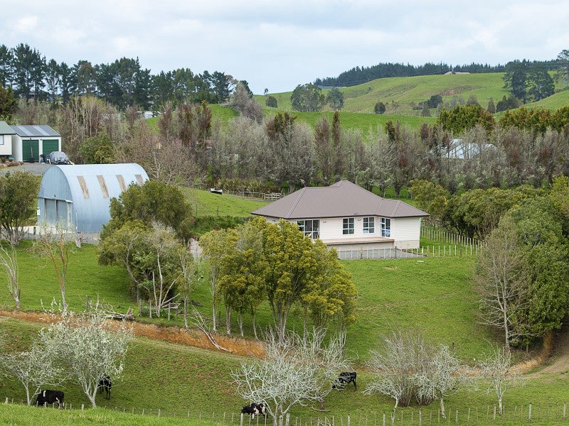 38 Native Road, Tuakau - Carousel 16