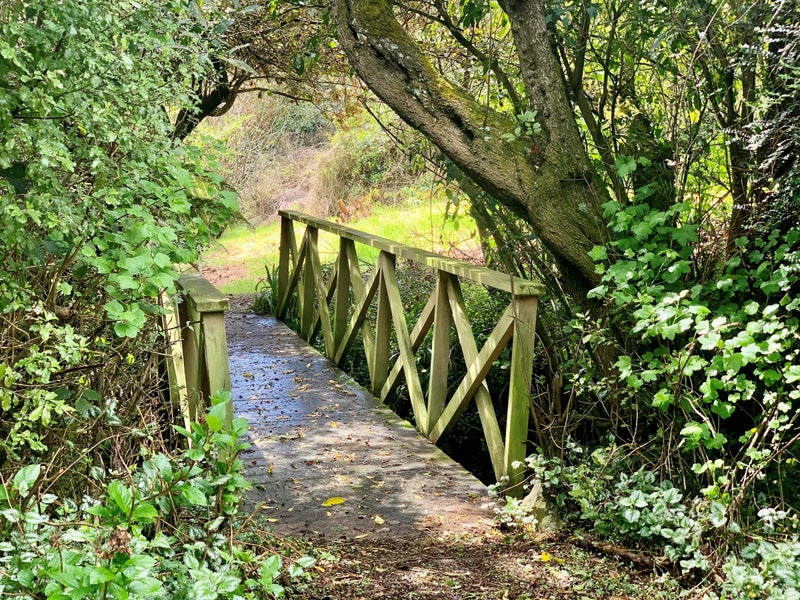 5 Holm Avenue, Broad Bay, Dunedin - Carousel 2