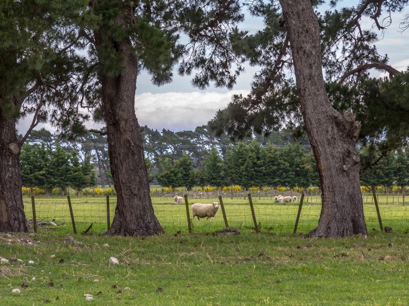 0 State Highway 53, South Featherston, Featherston - Carousel 14