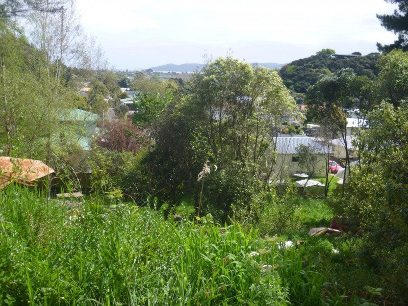 24 Kaimanawa Street, Paraparaumu - Carousel 9