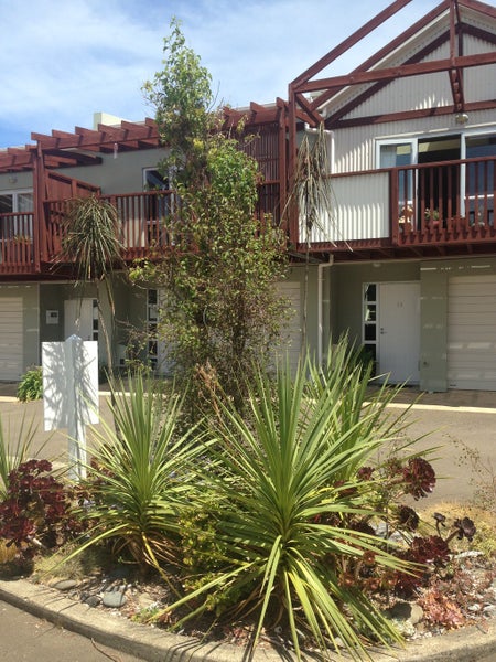 16/6 Vallance Street, Kilbirnie, Wellington - Carousel 2