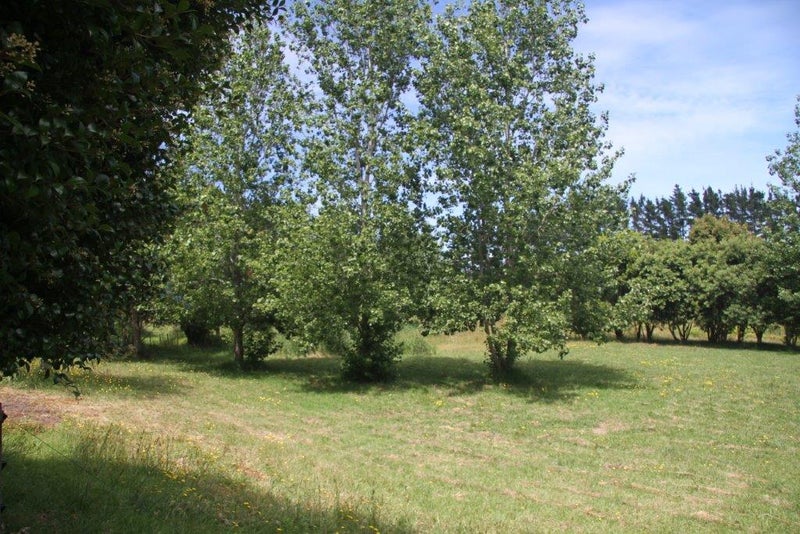 110 HUKATERE RD, Pukenui, HOUHORA - Carousel 26