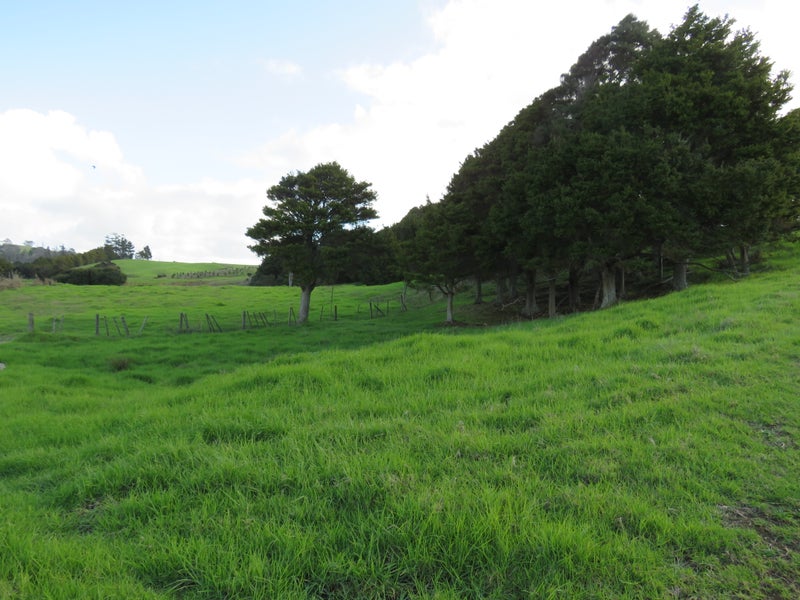 0 Arapaoa Road, Tinopai, Matakohe - Carousel 2