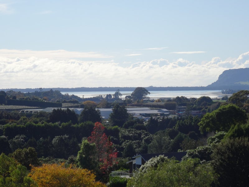 C/140 Minden Road, Tauranga - Carousel 1