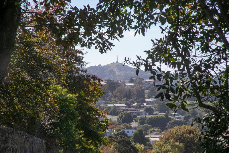 101 Carlton Street, Hillsborough, Auckland - Carousel 24