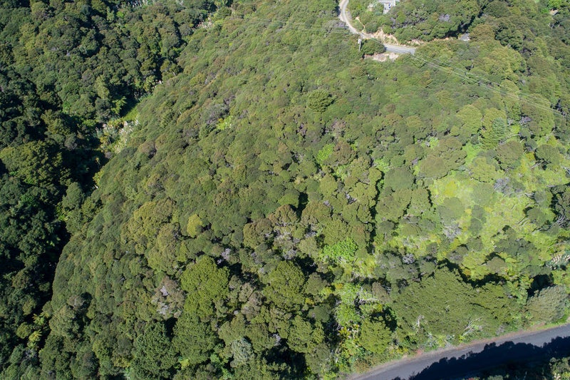 39 Taonga Lane, Whangarei - Carousel 2