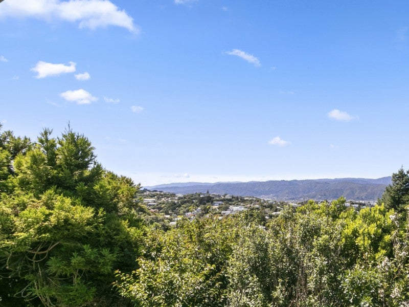 2/291 Dowse DR, Maungaraki, Lower Hutt - Carousel 14