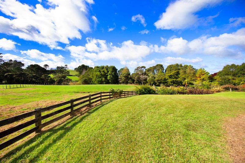 236 Blackbridge Road, Albany - Carousel 26