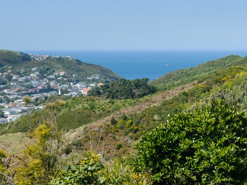 22 Halifax Street, Kingston, Wellington - Carousel 16