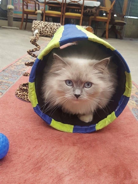 41 Gavin Black Street, Meeanee, Napier - Carousel 26