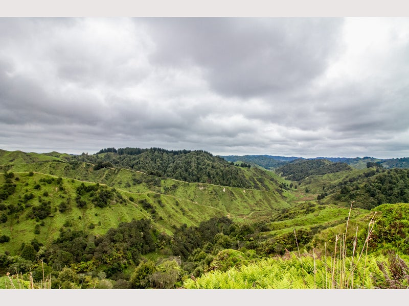 950 Waimate Road, WAIMATE NORTH, KERIKERI - Carousel 2