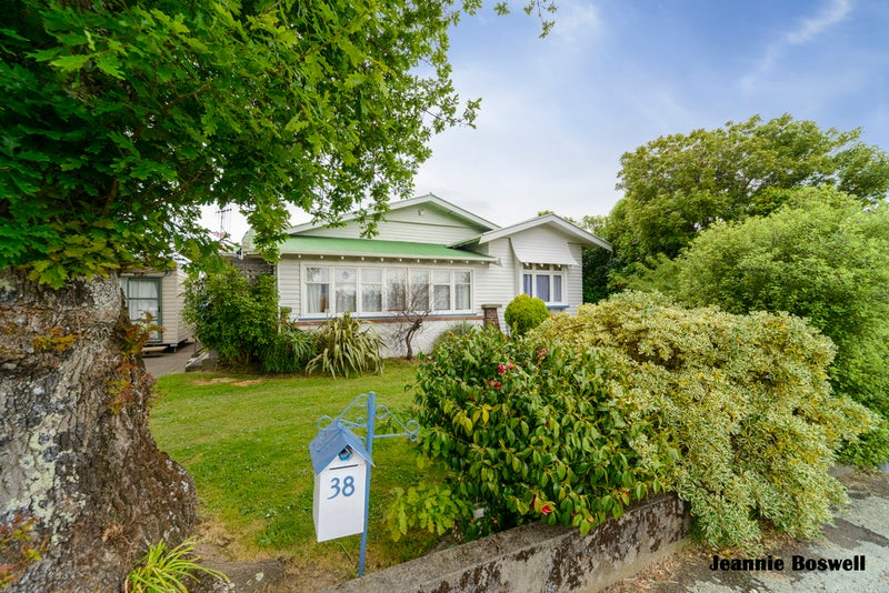 38 Argyle Avenue, Takaro, Palmerston North - Carousel 20