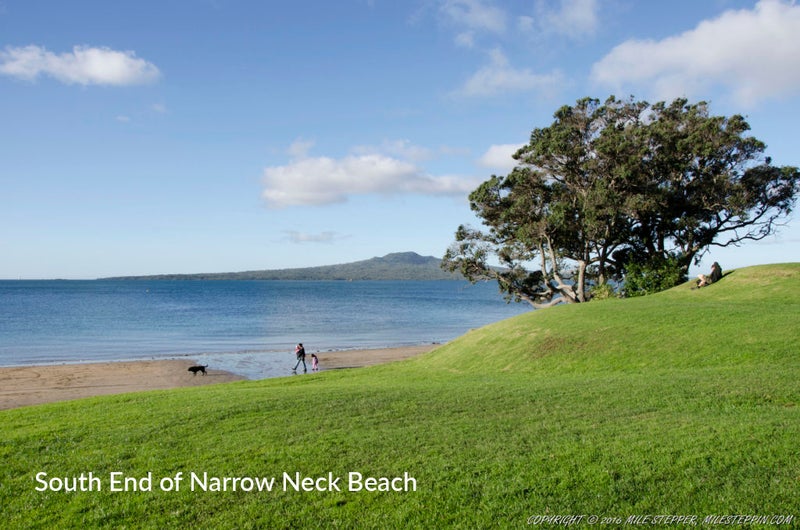 3/4 Fraser Road, Narrow Neck, Auckland - Carousel 19