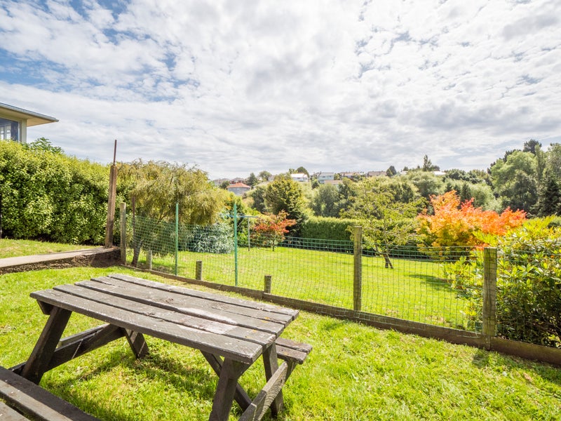 22 Panmure Avenue, Calton Hill, Dunedin - Carousel 22