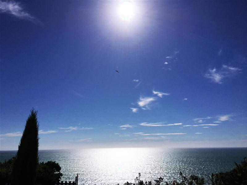 12 Elizabeth Road, Bluff Hill, Napier - Carousel 2