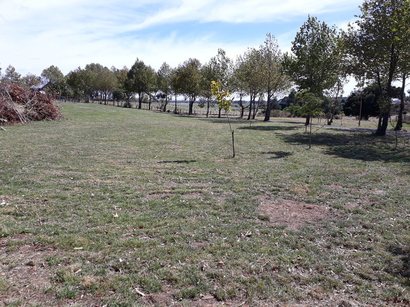 16 Bowen Street, Linton, Palmerston North - Carousel 7