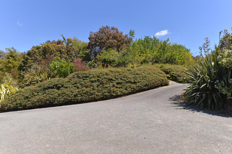 6 Bronte Road East, Bronte - Carousel 22