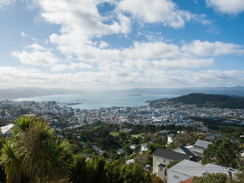 51 Apuka Street, Brooklyn, Wellington - Carousel 2