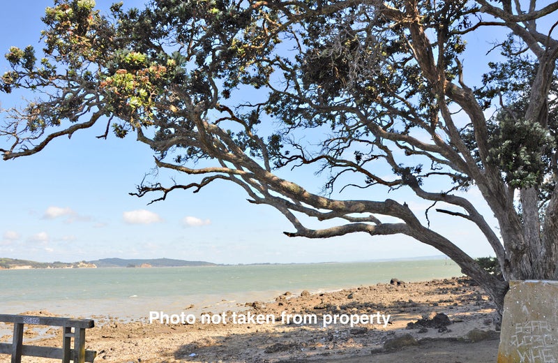 12 Goebel Street, Tinopai - Carousel 20