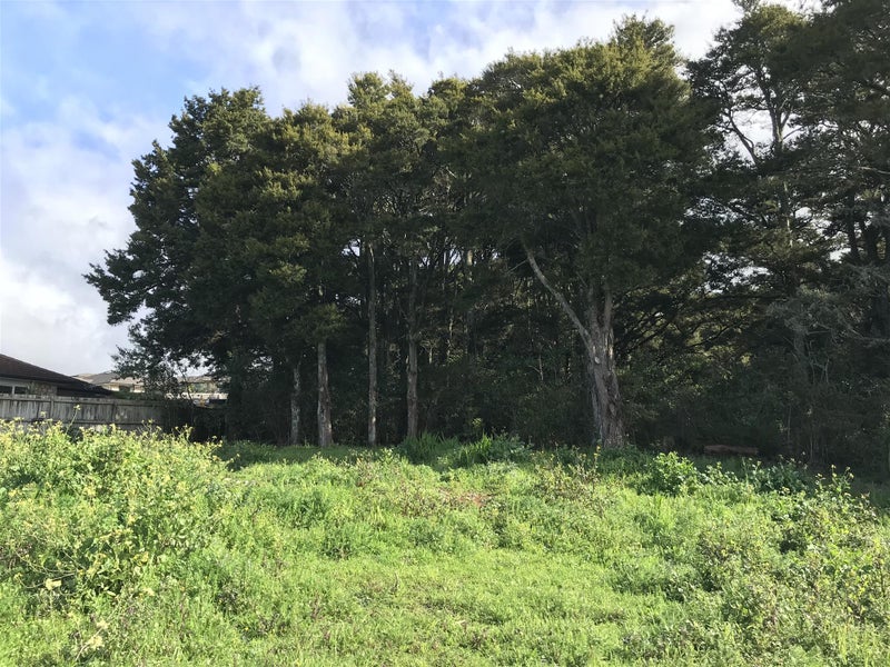 43 Balmacewan Drive, Kamo, Whangarei - Carousel 2
