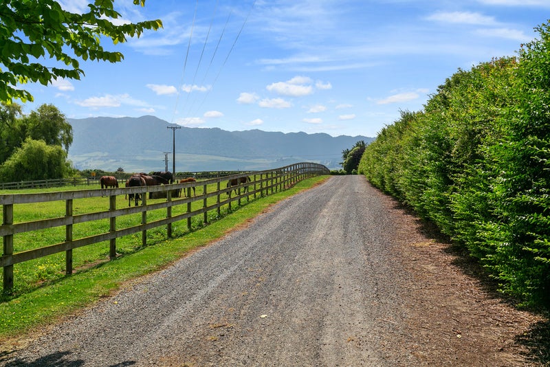 570 Tauranga Road, Te Poi, Matamata - Carousel 1