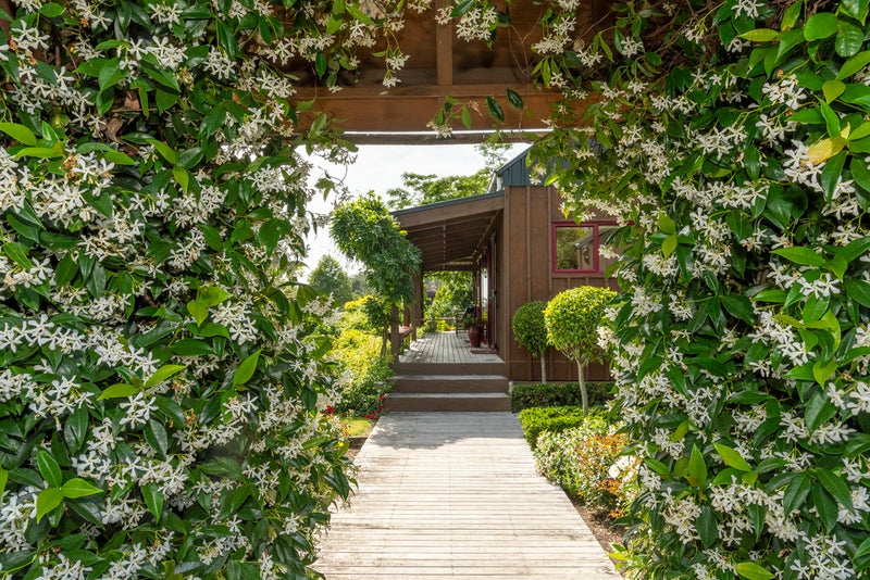 92 Te Puna Quarry Road, Minden, Tauranga - Carousel 2