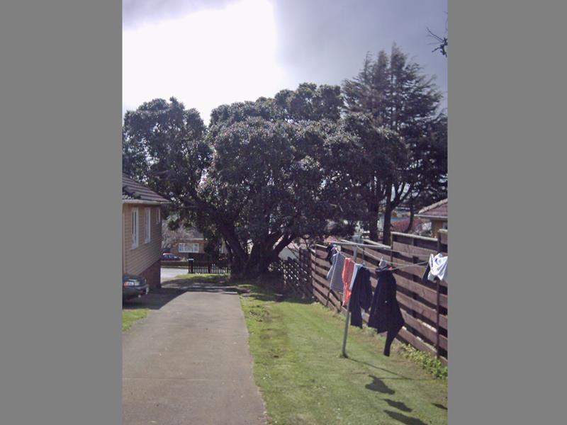 3/9 Panama Road, Mount Wellington, Auckland - Carousel 3