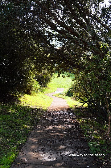 22 Kotanui Avenue, Army Bay, Whangaparāoa - Carousel 11