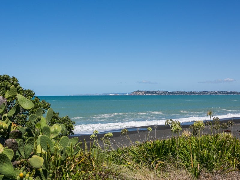 41 Le Quesne Road, Bay View, Napier - Carousel 21