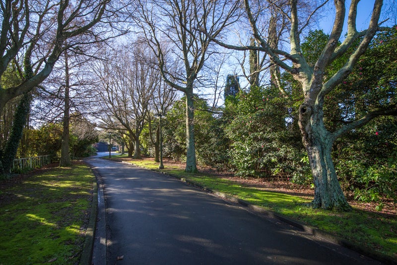 109 Shirriffs Road, Awapuni, Palmerston North - Carousel 2