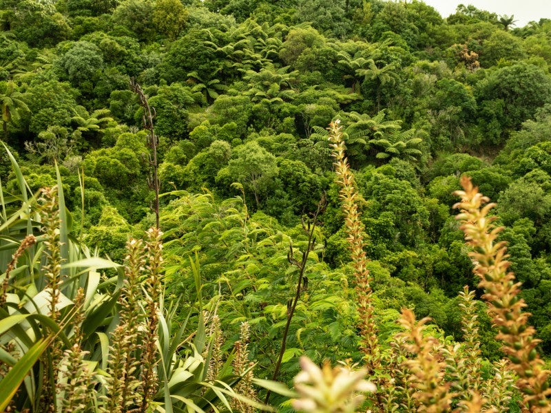 59 Durham Street, Aro Valley, Wellington - Carousel 24