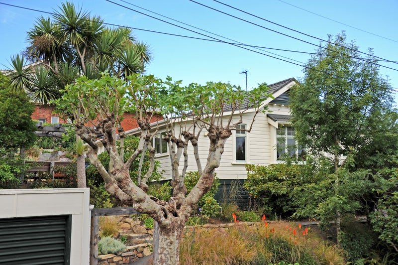 6 Como Street, Maori Hill, Dunedin - Carousel 20