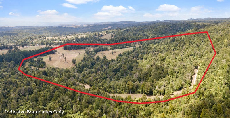 1046 Work Road, Whakamārama - Carousel 2