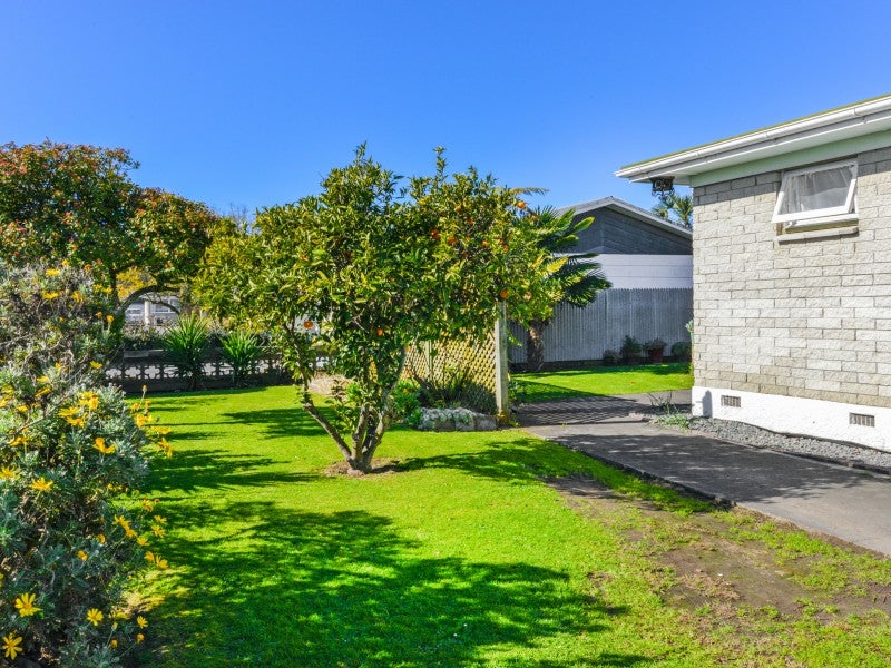 602 Kaka Street, Camberley, Hastings - Carousel 14