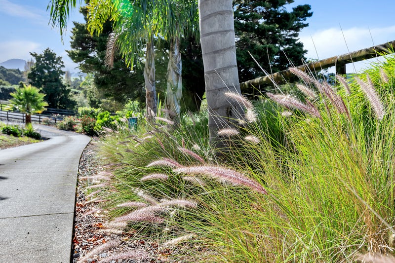 152 Matarau Road, Kamo - Carousel 33