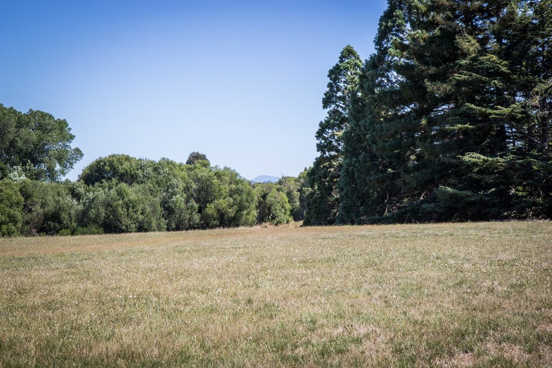 478 Te Whiti Road, Homebush, Masterton - Carousel 20