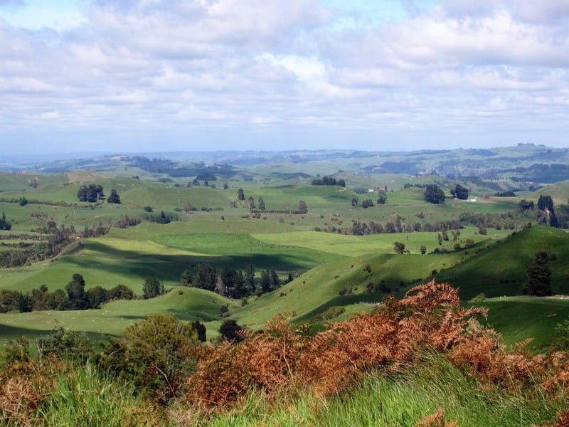 38 Petersons Road, Apiti, Āpiti - Carousel 8