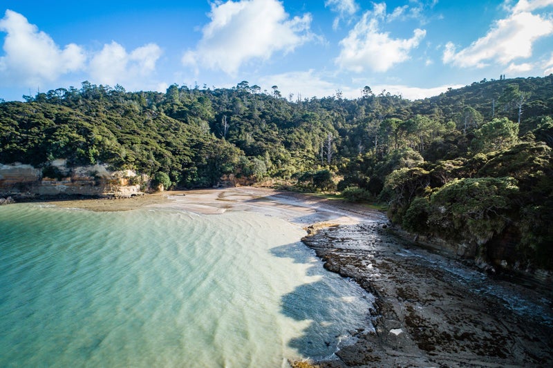 69E Waipa Street, Birkenhead, Auckland - Carousel 10