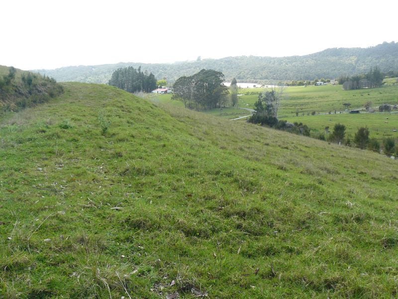 186 ORURU RD, TAIPA - Carousel 10