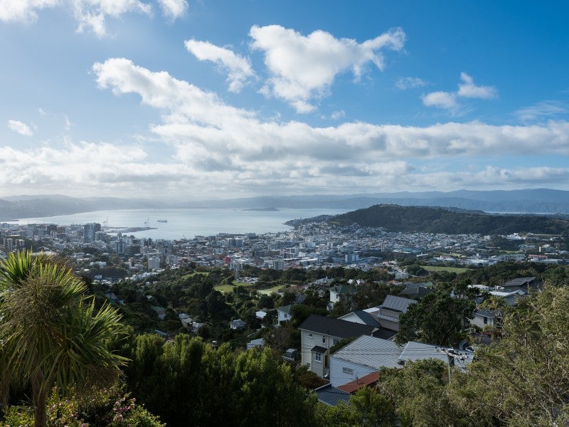 51 Apuka Street, Brooklyn, Wellington - Carousel 17